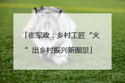 霍军政：乡村工匠“火”出乡村振兴新图景