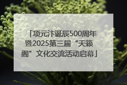 项元汴诞辰500周年暨2025第三届“天籁阁”文化交流活动启幕