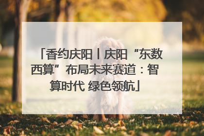 香约庆阳丨庆阳“东数西算”布局未来赛道：智算时代 绿色领航