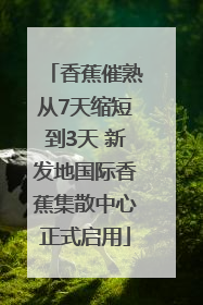 香蕉催熟从7天缩短到3天 新发地国际香蕉集散中心正式启用