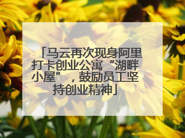马云再次现身阿里打卡创业公寓“湖畔小屋”，鼓励员工坚持创业精神
