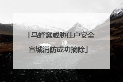 马蜂窝威胁住户安全 宣城消防成功摘除