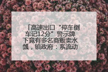 高速出口“停车倒车记12分”警示牌下竟有多名商贩卖水瓢，镇政府：系流动摊位，已多次劝离