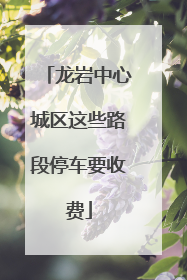 龙岩中心城区这些路段停车要收费