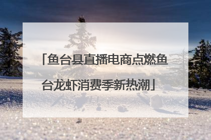 鱼台县直播电商点燃鱼台龙虾消费季新热潮