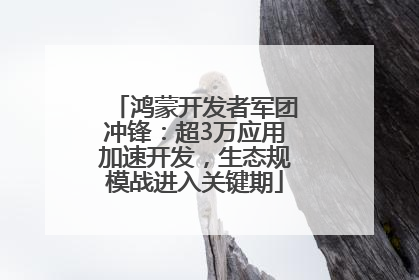 鸿蒙开发者军团冲锋：超3万应用加速开发，生态规模战进入关键期