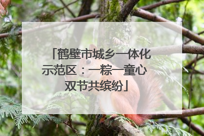 鹤壁市城乡一体化示范区：一粽一童心 双节共缤纷