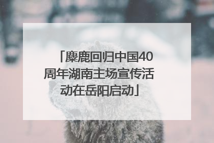 麋鹿回归中国40周年湖南主场宣传活动在岳阳启动