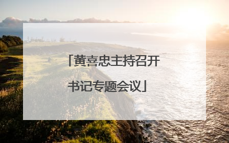 黄喜忠主持召开书记专题会议