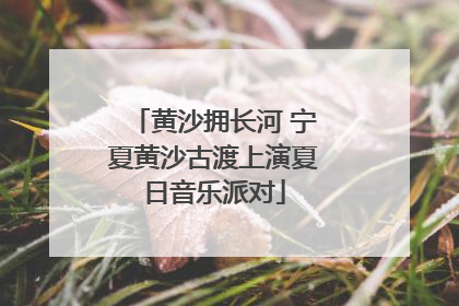 黄沙拥长河 宁夏黄沙古渡上演夏日音乐派对