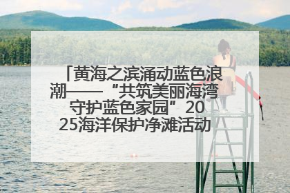 黄海之滨涌动蓝色浪潮——“共筑美丽海湾 守护蓝色家园”2025海洋保护净滩活动暨“美丽江苏—江河湖海青蓝行”海洋篇在连云港举行
