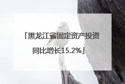 黑龙江省固定资产投资同比增长15.2%