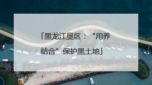 黑龙江垦区：“用养结合”保护黑土地