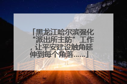 黑龙江哈尔滨强化“派出所主防”工作，让平安建设触角延伸到每个角落……