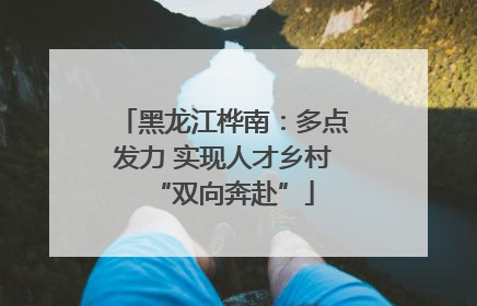 黑龙江桦南：多点发力 实现人才乡村“双向奔赴”