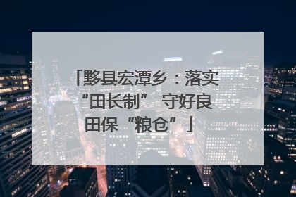 黟县宏潭乡：落实“田长制” 守好良田保“粮仓”
