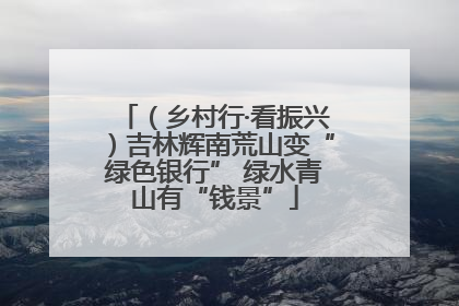 （乡村行·看振兴）吉林辉南荒山变“绿色银行” 绿水青山有“钱景”