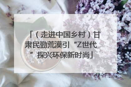 （走进中国乡村）甘肃民勤荒漠引“Z世代”探兴环保新时尚