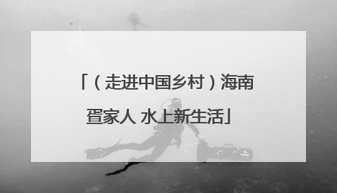 （走进中国乡村）海南疍家人 水上新生活