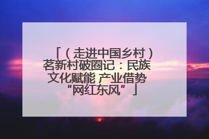 （走进中国乡村）茗新村破圈记：民族文化赋能 产业借势 “网红东风”
