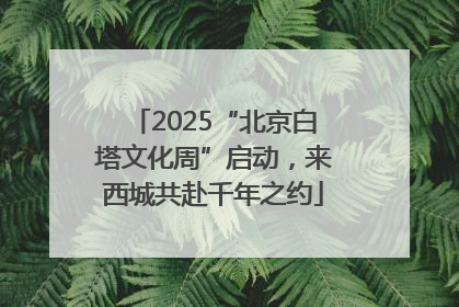 2025“北京白塔文化周”启动，来西城共赴千年之约