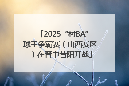 2025“村BA”球王争霸赛（山西赛区）在晋中昔阳开战