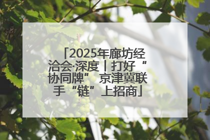 2025年廊坊经洽会·深度丨打好“协同牌” 京津冀联手“链”上招商