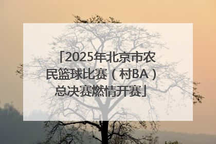 2025年北京市农民篮球比赛（村BA）总决赛燃情开赛