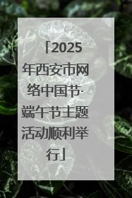 2025年西安市网络中国节·端午节主题活动顺利举行