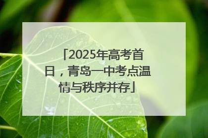 2025年高考首日，青岛一中考点温情与秩序并存