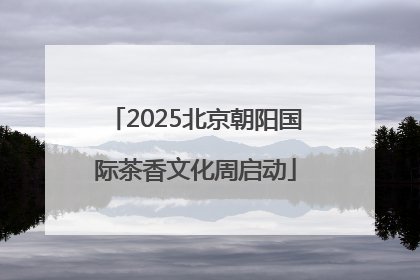 2025北京朝阳国际茶香文化周启动