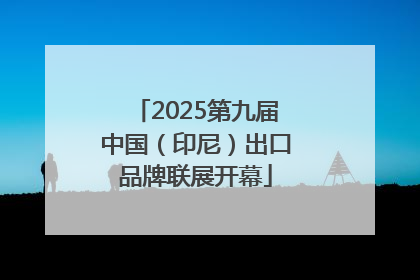 2025第九届中国（印尼）出口品牌联展开幕