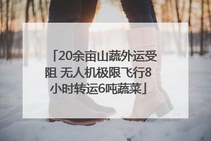 20余亩山蔬外运受阻 无人机极限飞行8小时转运6吨蔬菜