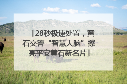 28秒极速处置，黄石交警“智慧大脑”擦亮平安黄石新名片