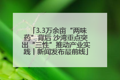 3.3万余亩“两味药”背后 沙湾重点突出“三性”推动产业实践丨新闻发布最前线