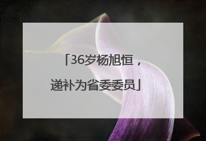 36岁杨旭恒，递补为省委委员