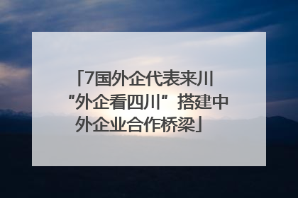7国外企代表来川 “外企看四川”搭建中外企业合作桥梁