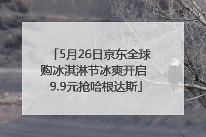 5月26日京东全球购冰淇淋节冰爽开启 9.9元抢哈根达斯