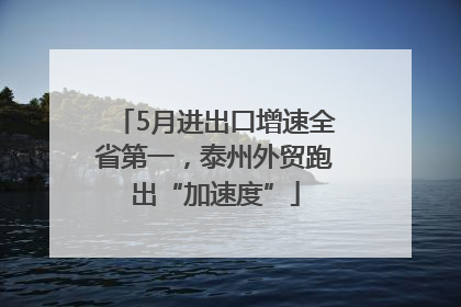 5月进出口增速全省第一，泰州外贸跑出“加速度”