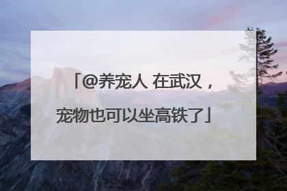 @养宠人 在武汉，宠物也可以坐高铁了