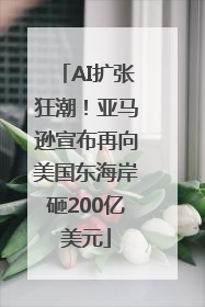 AI扩张狂潮！亚马逊宣布再向美国东海岸砸200亿美元